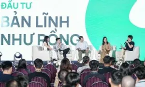 Kỷ luật và dài hạn - chiến lược 'vượt đáy' cho nhà đầu tư cá nhân