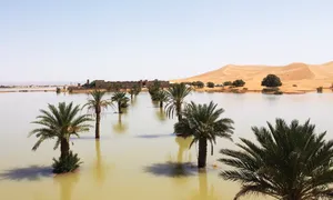 Mưa kỷ lục gây ngập một phần sa mạc Sahara