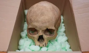 Du khách trả lại hộp sọ sau khi ăn trộm 60 năm trước